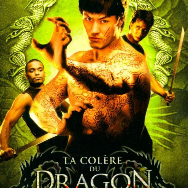 La colère du dragon - Jason Yee - DVD