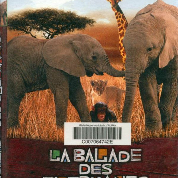 La balade des éléphants - elephant tales - Mario Andreacchio - DVD